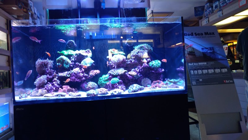 Aquarium City - Photo 4