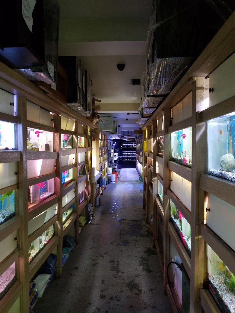 Aquarium City - Photo 5