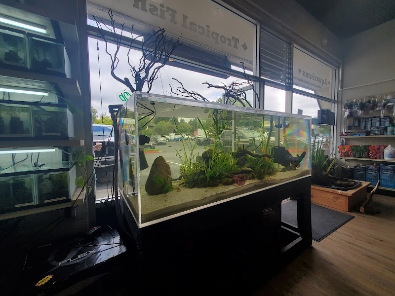 Fintastic Fish - Photo 3