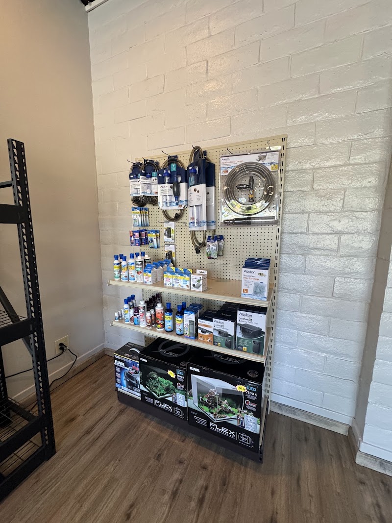 Fintastic Fish - Photo 4