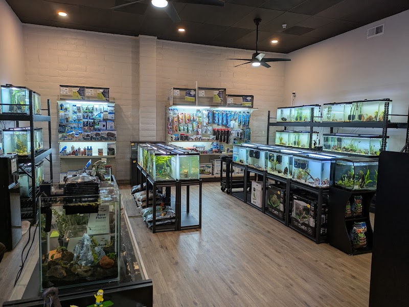 Fintastic Fish - Photo 5