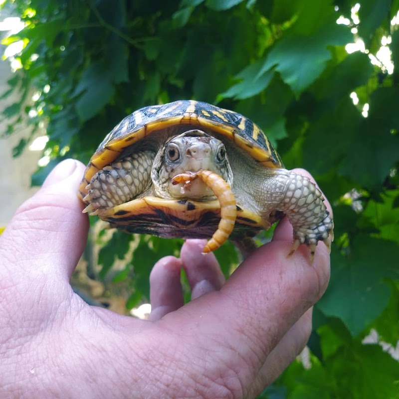 Pet Shop Santa Cruz - Photo 2