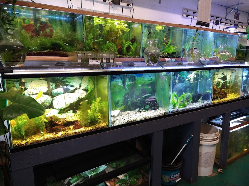 Pet Shop Santa Cruz - Photo 3