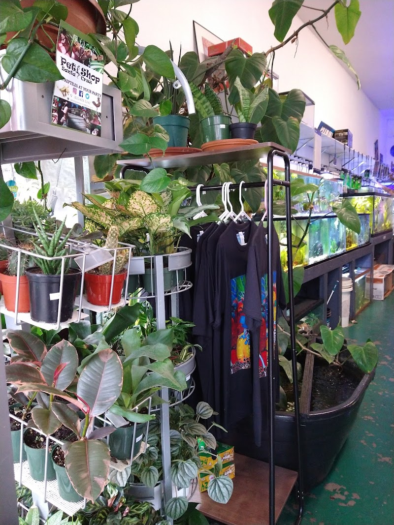 Pet Shop Santa Cruz - Photo 4