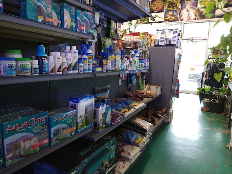 Pet Shop Santa Cruz - Photo 5