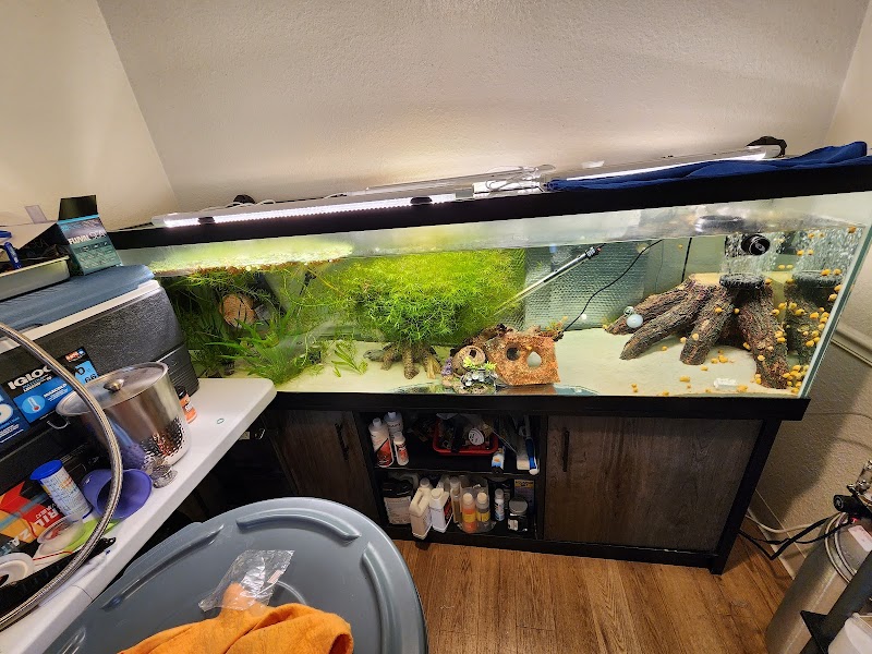 JJ Aquarium - Photo 2