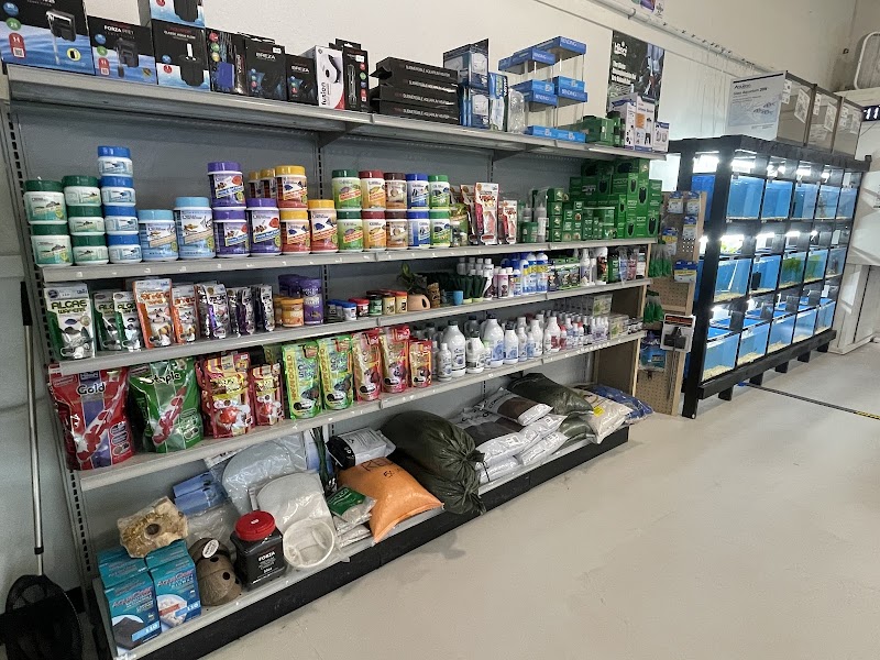 JJ Aquarium - Photo 3