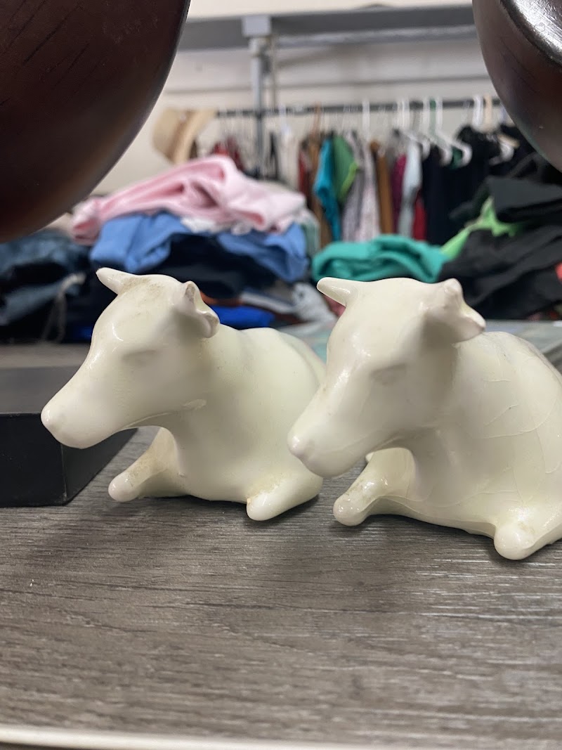 JJ Aquarium - Photo 4