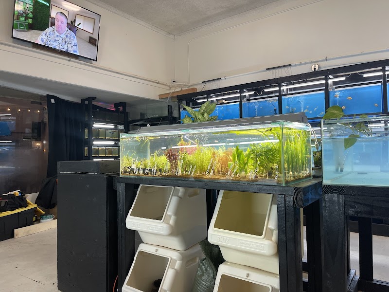 JJ Aquarium - Photo 5