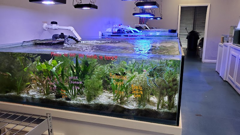 Southern Aquatics Local Fish Store - Photo 2