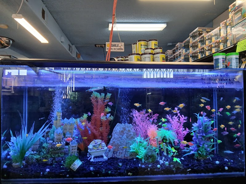 Three Little Fish - Photo 1