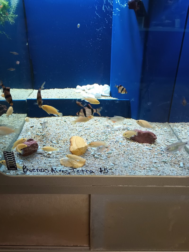 Tulare Mercantile - Photo 1