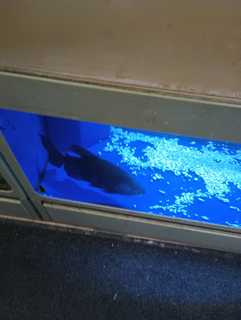 Tulare Mercantile - Photo 3