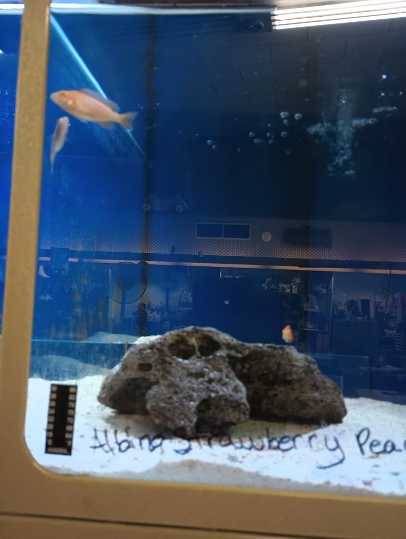 Tulare Mercantile - Photo 5