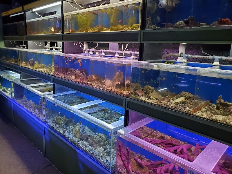 Fish Den Inc. - Photo 2