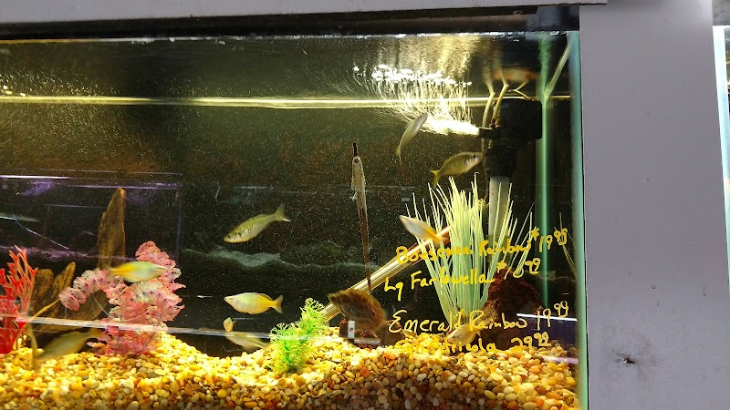 Fish Den Inc. - Photo 5