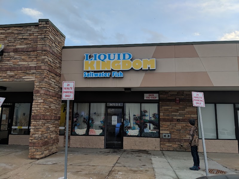 Liquid Kingdom - Photo 1