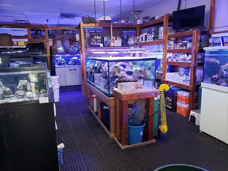 Liquid Kingdom - Photo 2