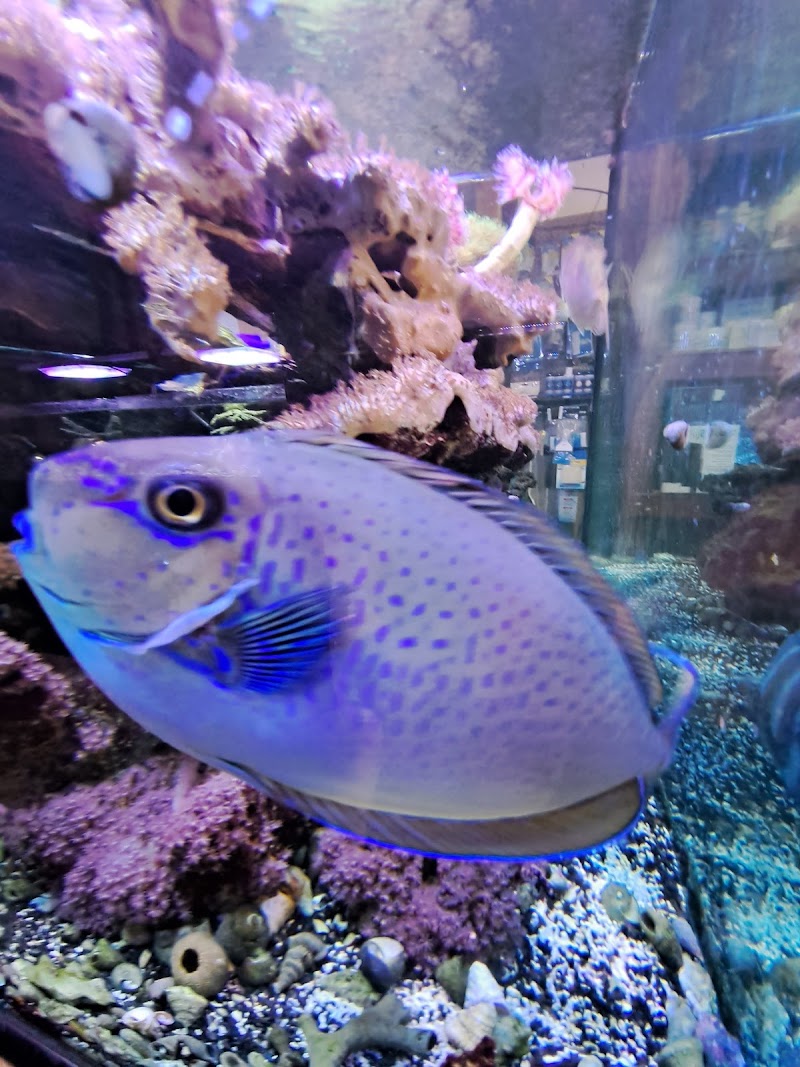 Liquid Kingdom - Photo 3