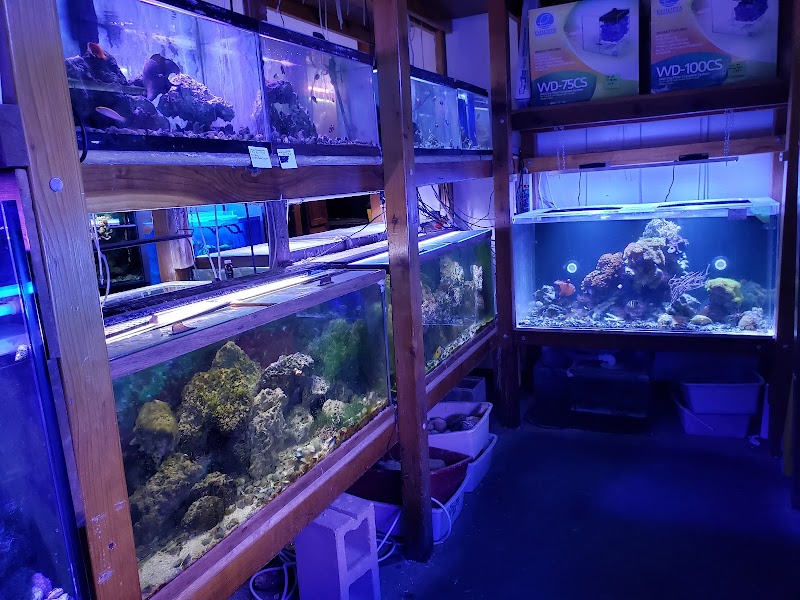 Liquid Kingdom - Photo 5