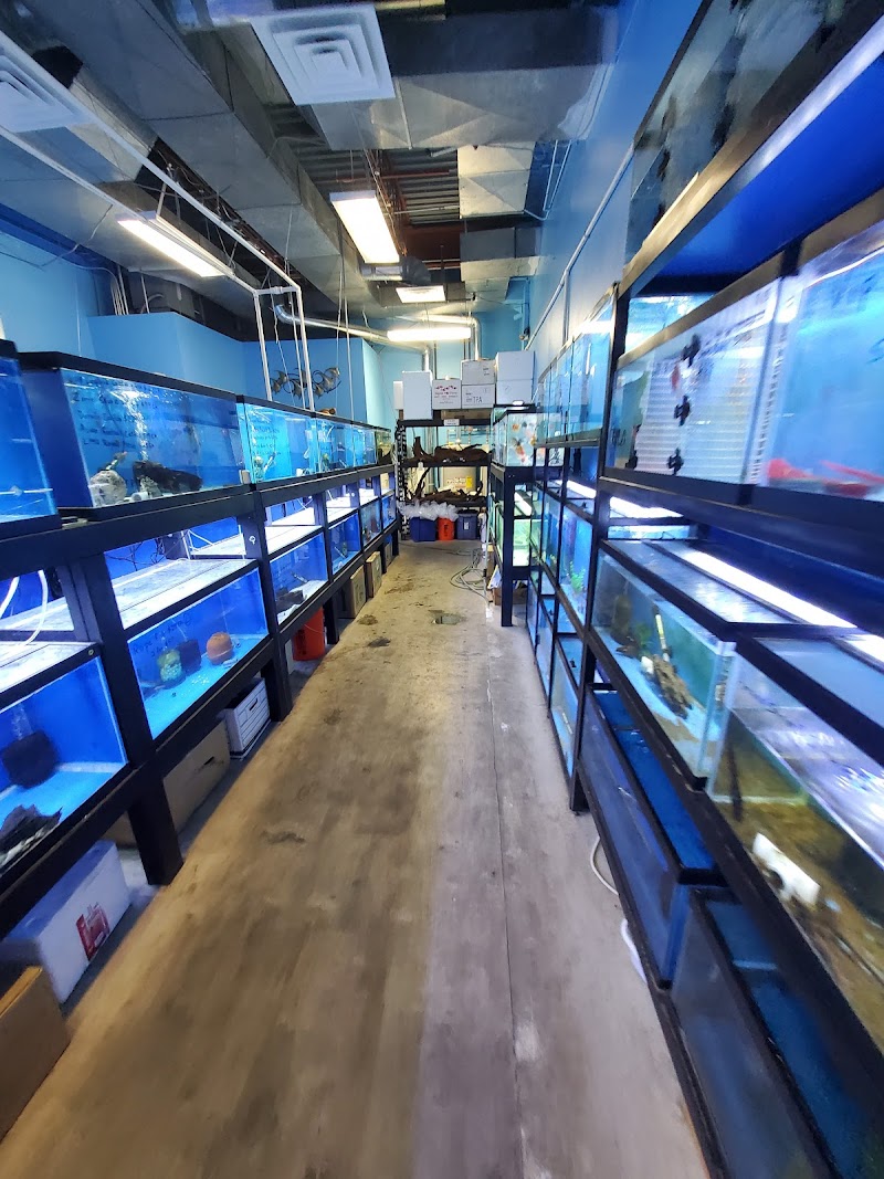 Rays Tank (Exotic Freshwater Fish Store) - Photo 2