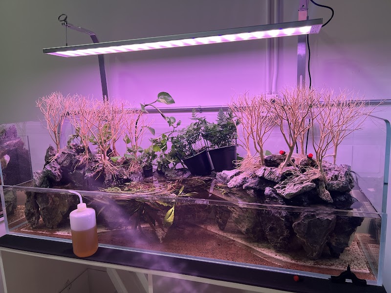 Aqua Rocks Colorado - Photo 4