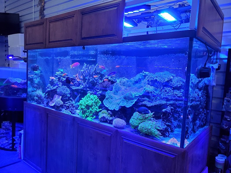 Aquatic Art Inc. - Photo 1