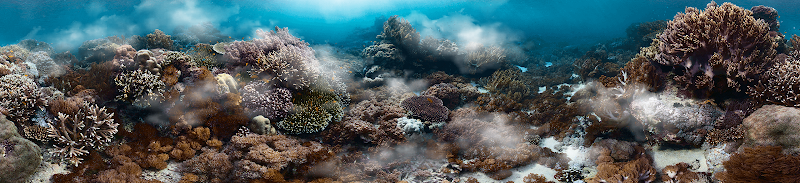 Aqua Imports - Photo 2