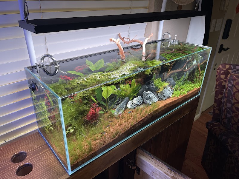 Aqua Imports - Photo 3