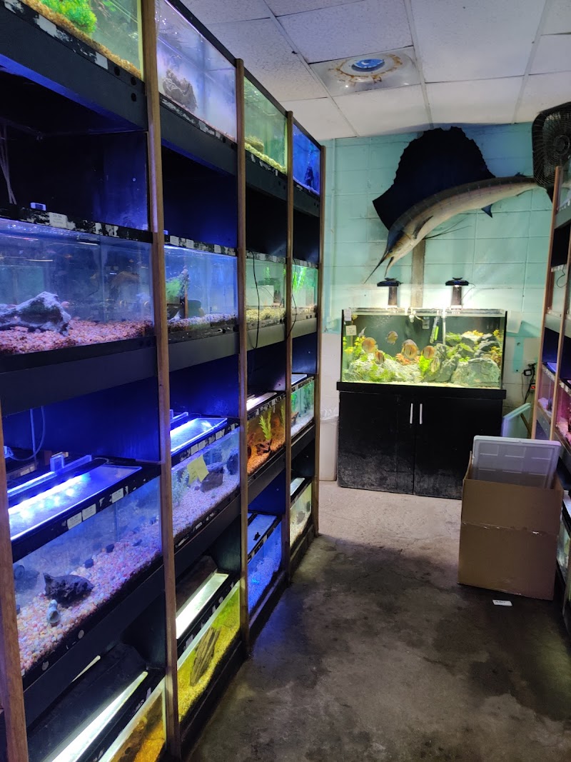 Aqua Imports - Photo 4