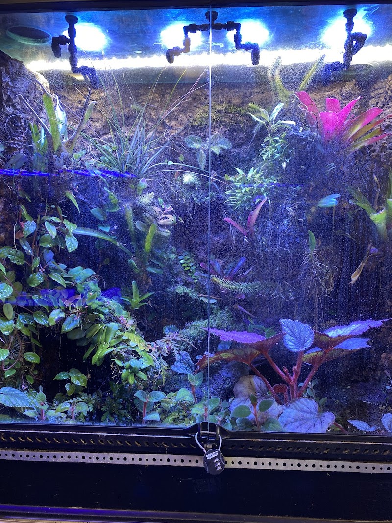 Aqua Imports - Photo 5