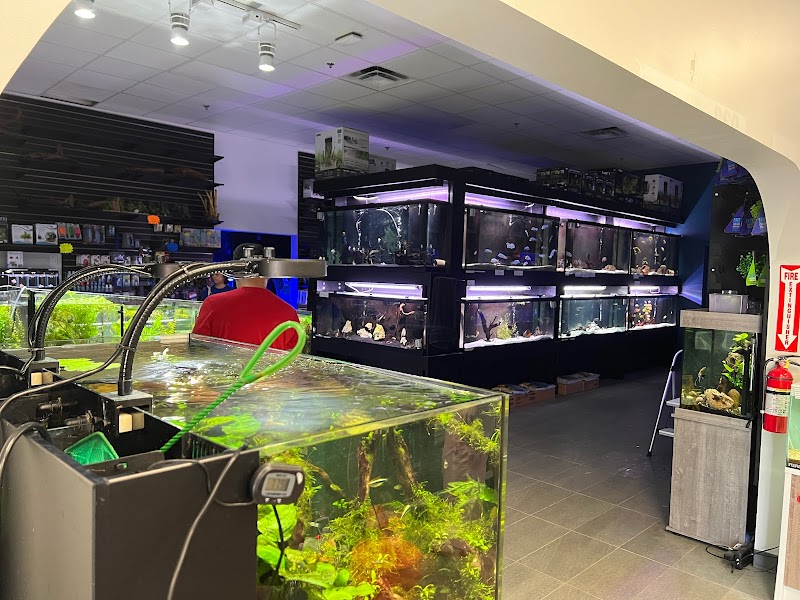 MC Aquatics - Englewood - Photo 3