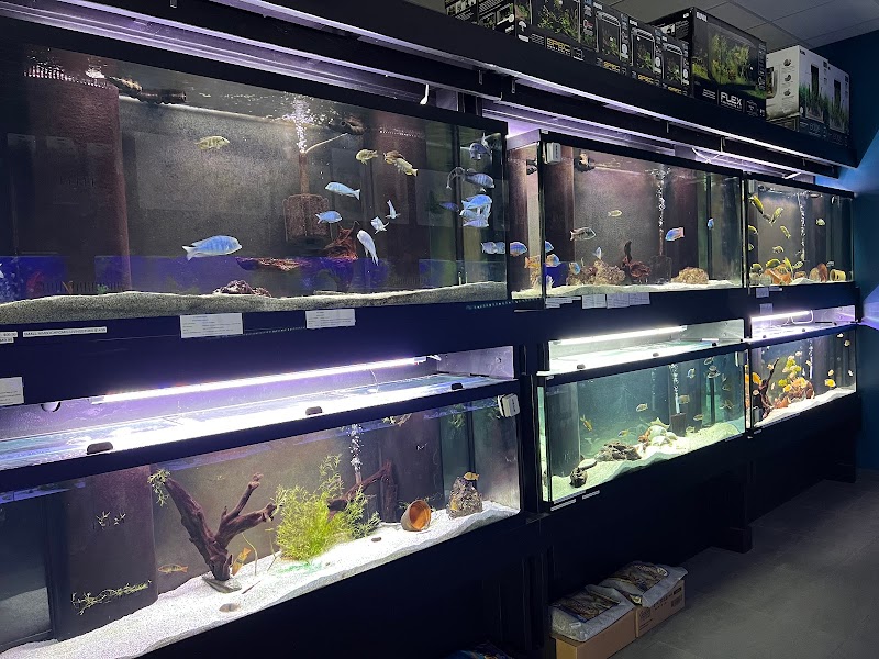 MC Aquatics - Englewood - Photo 4