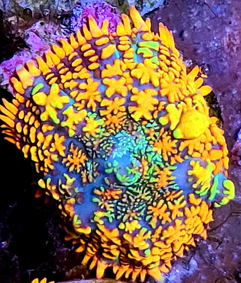 Aqua Culture - Photo 2