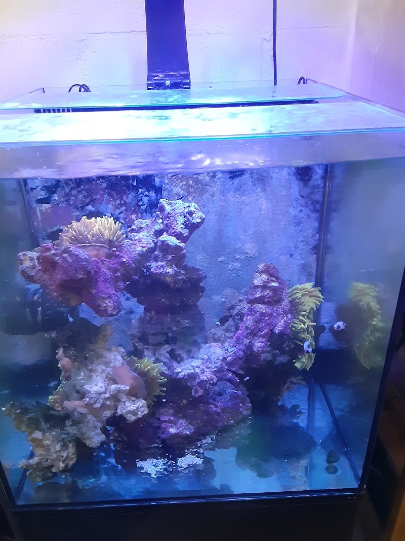 Aqua Culture - Photo 4