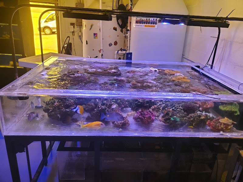 Aqua Culture - Photo 5