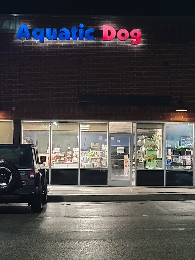 Aquatic Dog - Photo 1