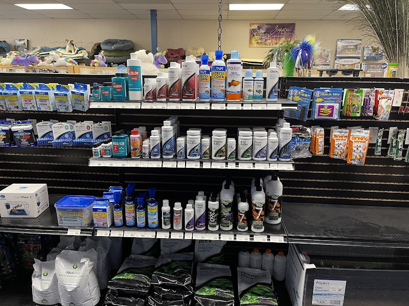 Aquatic Dog - Photo 3