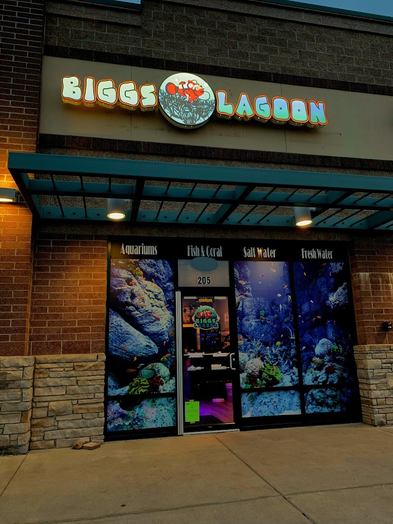 Biggslagoon - Photo 1