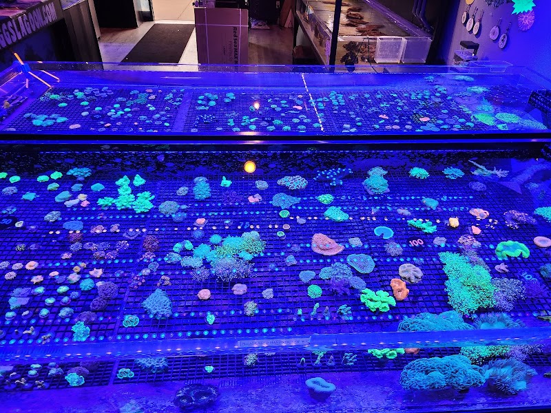 Biggslagoon - Photo 3