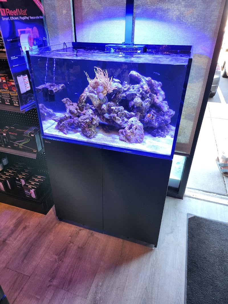 Biggslagoon - Photo 4