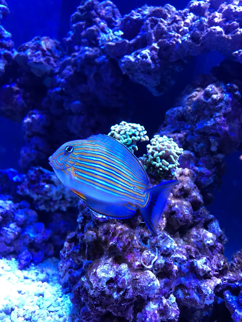 Biggslagoon - Photo 5