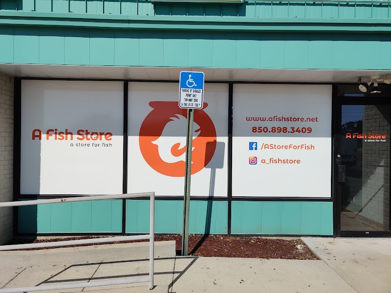 A Fish Store - Photo 1