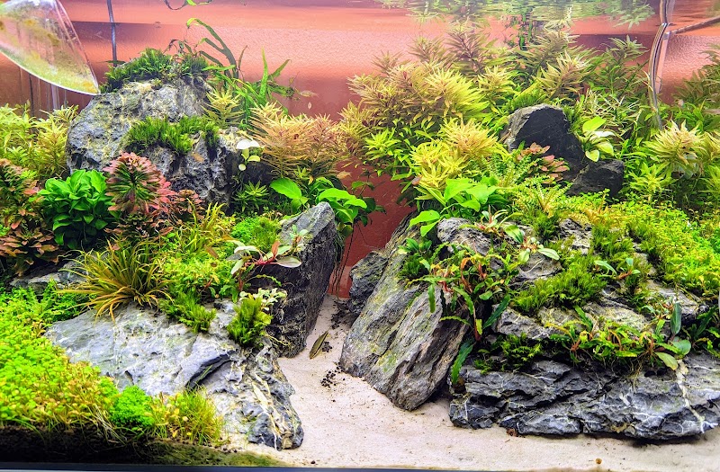 A Fish Store - Photo 2