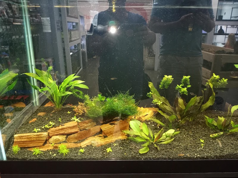 A Fish Store - Photo 5