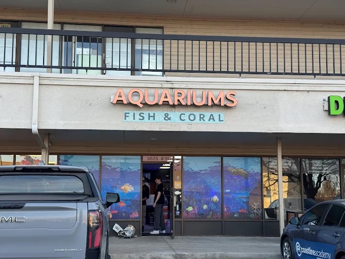 Fins Up Reef Co. - Photo 1