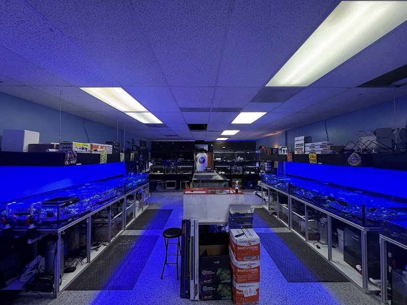 Fins Up Reef Co. - Photo 2