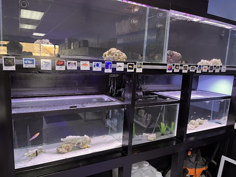 Fins Up Reef Co. - Photo 3