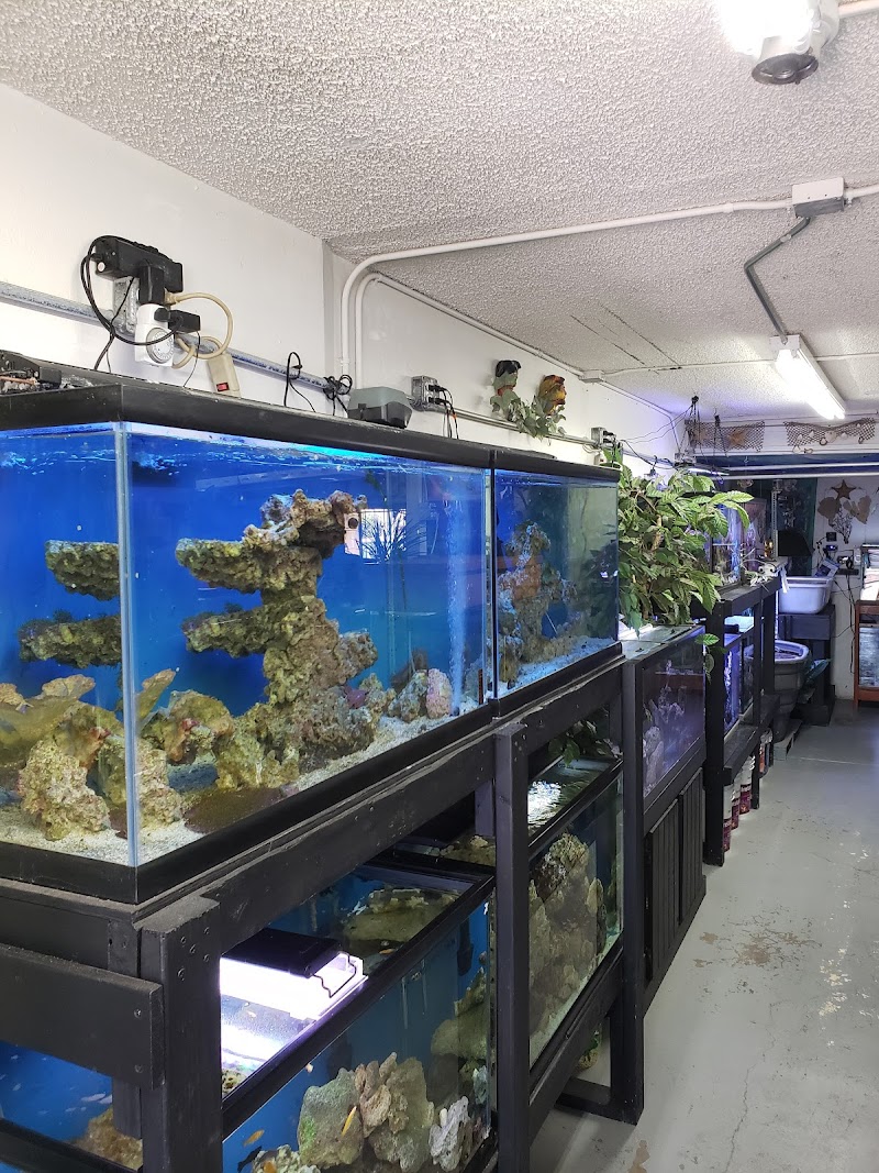 Tropical Treasures LLC - Photo 2