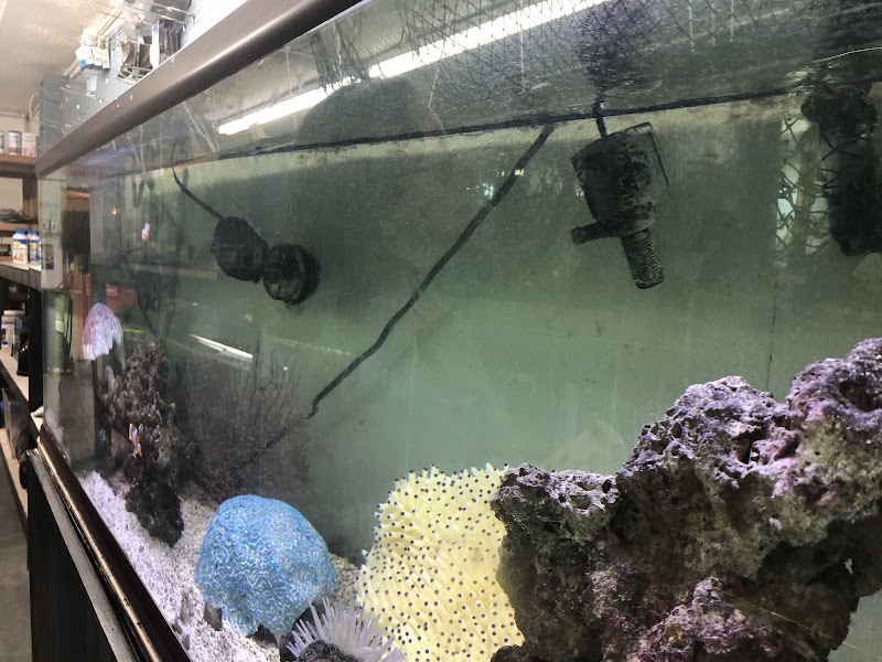 Tropical Treasures LLC - Photo 3